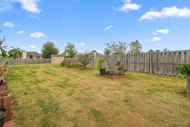 view of yard featuring a shed