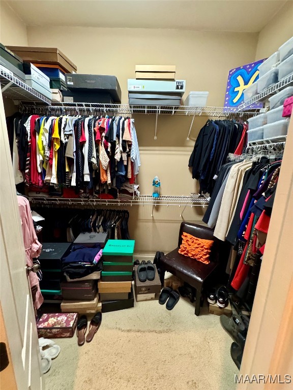 spacious closet with carpet floors