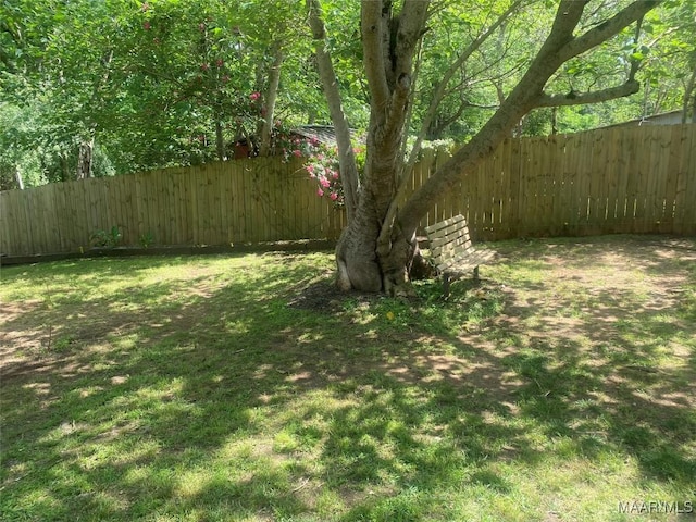 view of yard featuring a fenced backyard