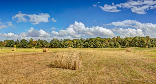 view of local wilderness featuring a rural view