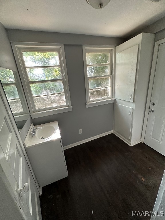 bathroom with vanity and hardwood / wood-style flooring