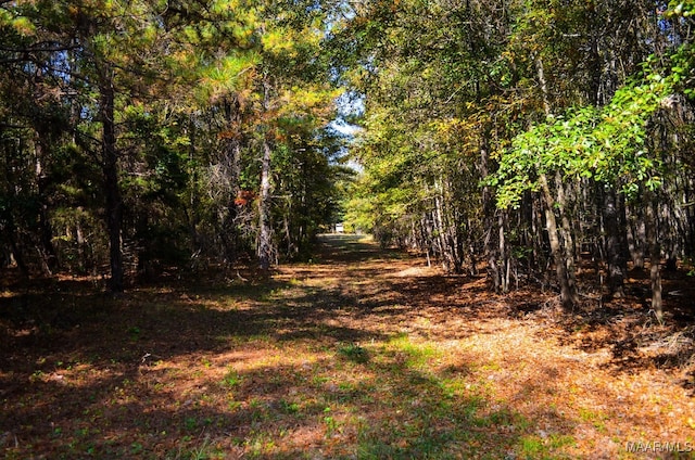 Listing photo 2 for 00 Kelly Bottom Rd, Deatsville AL 36022