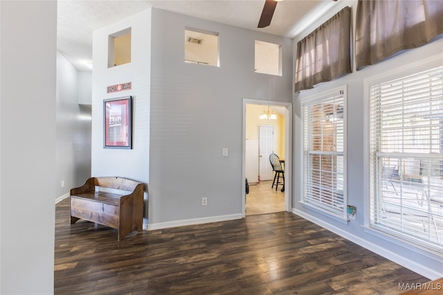 interior space featuring ceiling fan, dark hardwood / wood-style floors, and a textured ceiling