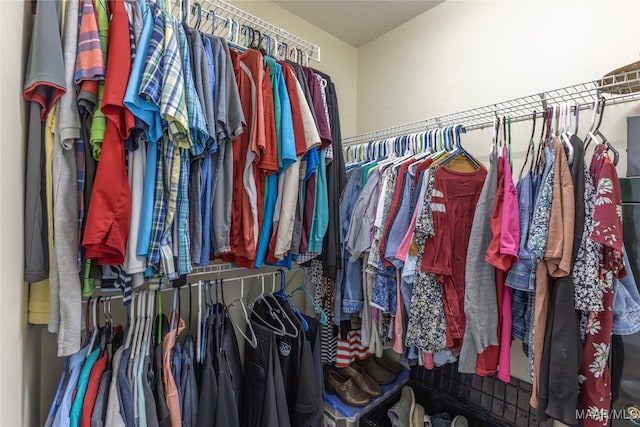 view of walk in closet