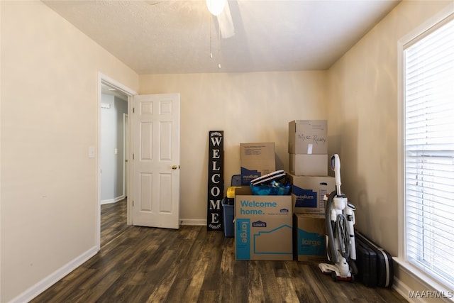 storage room featuring ceiling fan