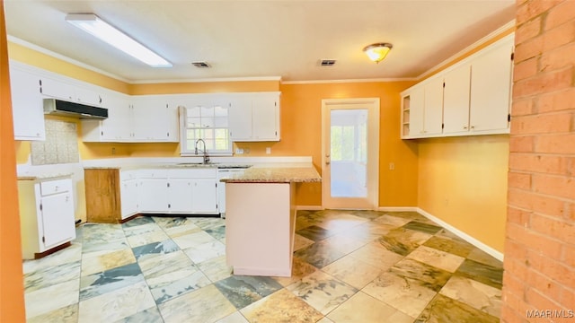 kitchen with white cabinetry, ornamental molding, and sink