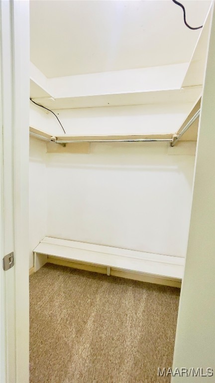 walk in closet with carpet