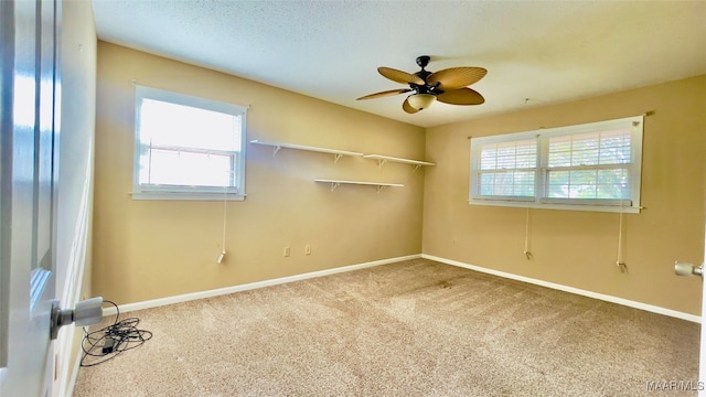 carpeted empty room featuring a wealth of natural light, ceiling fan, and a textured ceiling