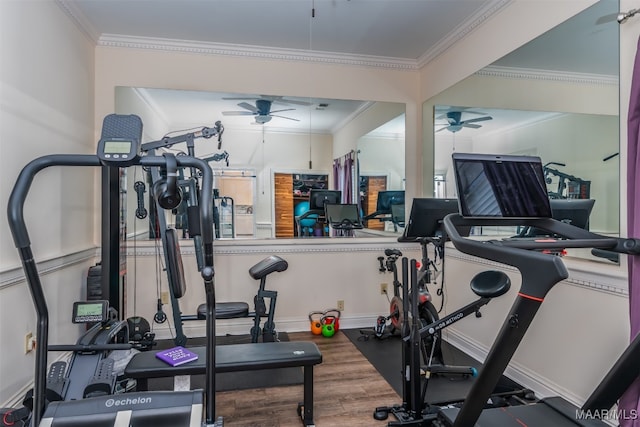 workout area with ornamental molding, hardwood / wood-style floors, and ceiling fan