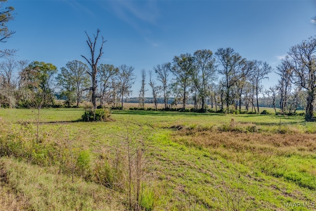 view of yard with a rural view