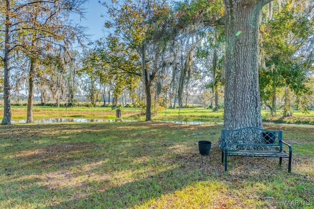 view of property's community featuring a yard and a water view