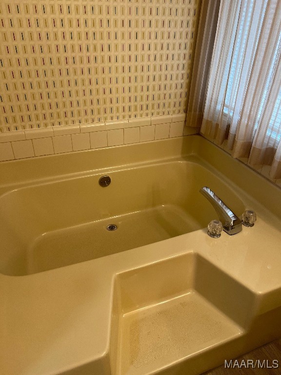 bathroom with a bathtub