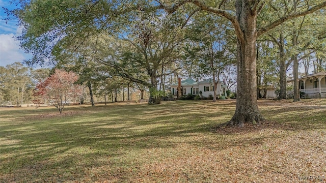 view of yard