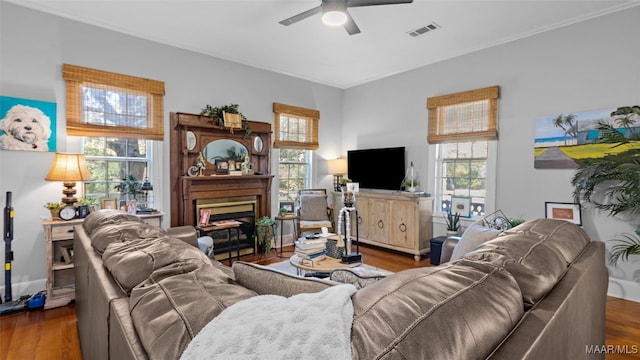 living room with dark wood-type flooring, ceiling fan, and a healthy amount of sunlight