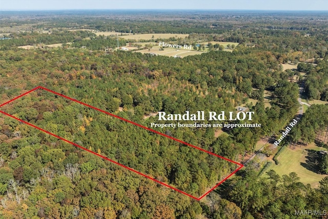 000 Randall Rd, Cecil AL, 36013 land for sale