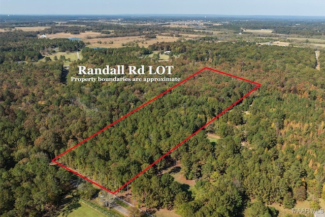 Listing photo 3 for 000 Randall Rd, Cecil AL 36013