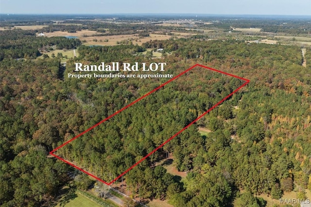 000 Randall Rd, Cecil, AL 36013