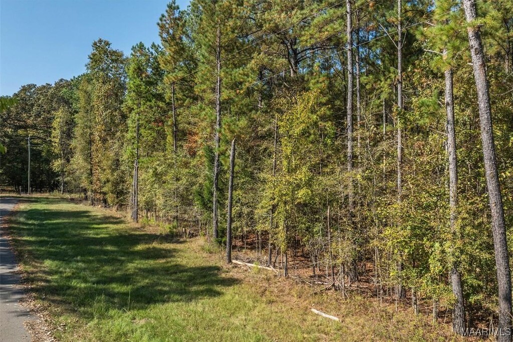 000 Randall Rd, Cecil, AL 36013