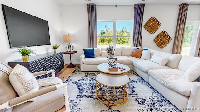 living room featuring hardwood / wood-style floors and a wealth of natural light