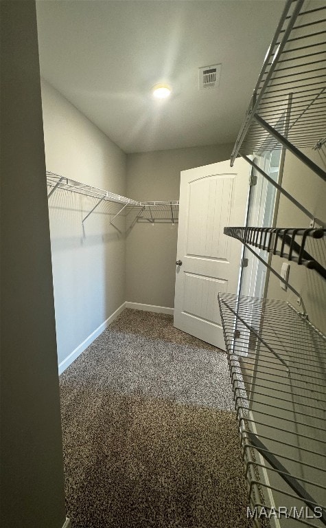 spacious closet with carpet