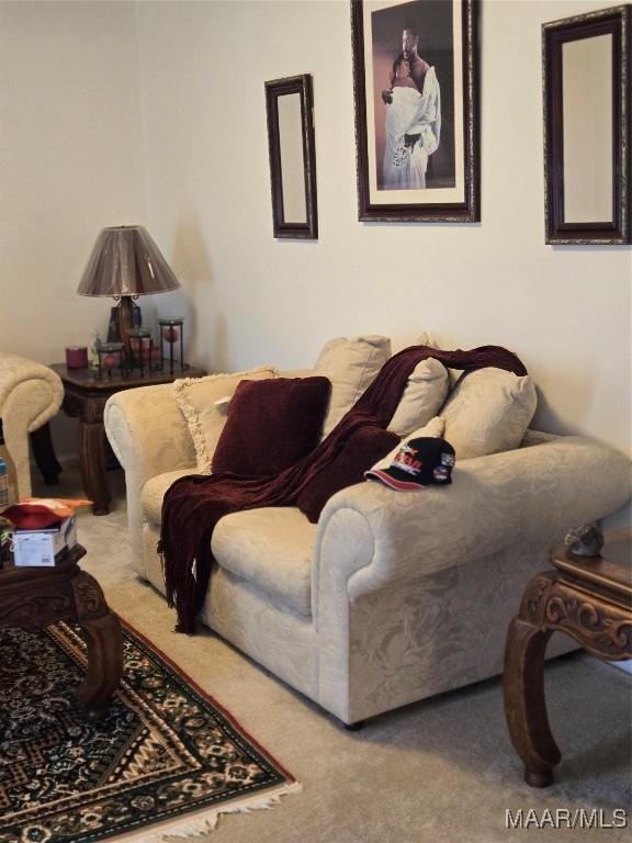 living room with carpet floors