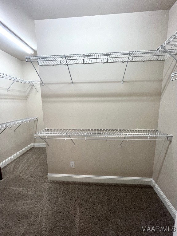 spacious closet with dark carpet