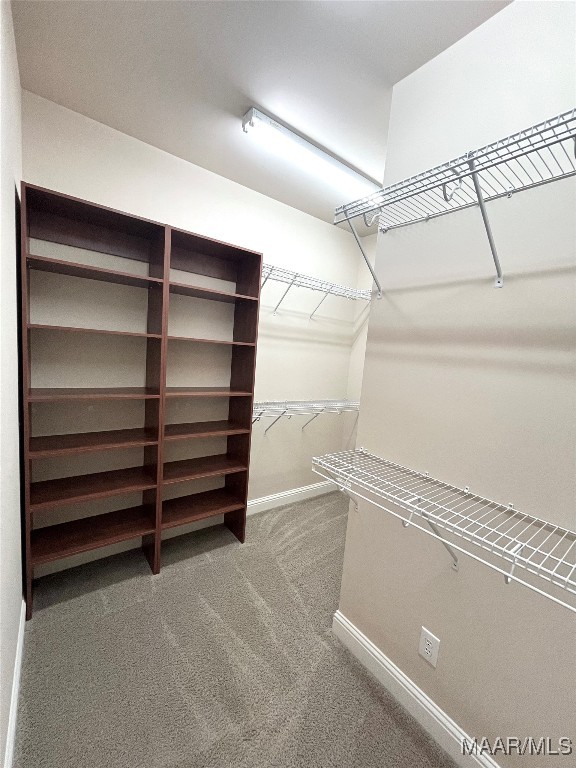 walk in closet with carpet floors