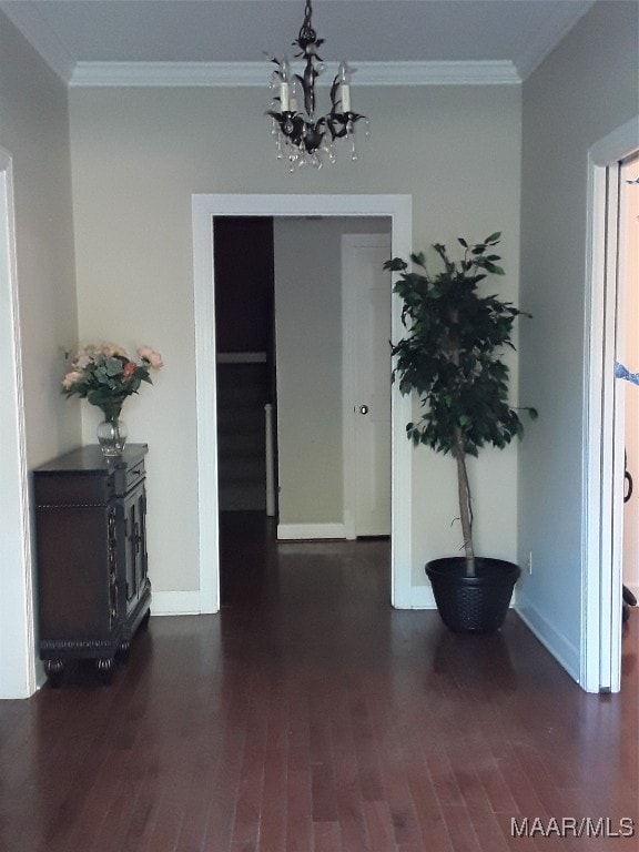 foyer entrance with dark hardwood / wood-style floors and crown molding