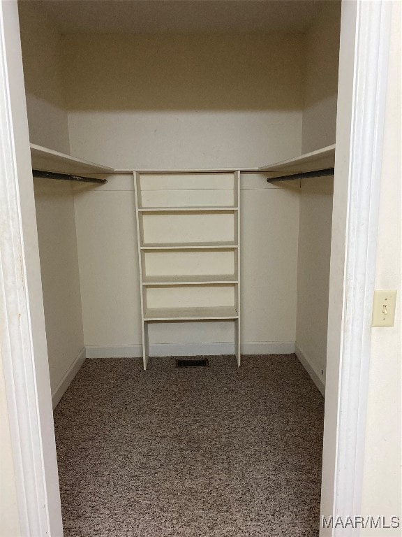 spacious closet with carpet floors