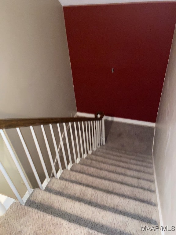 staircase featuring carpet floors