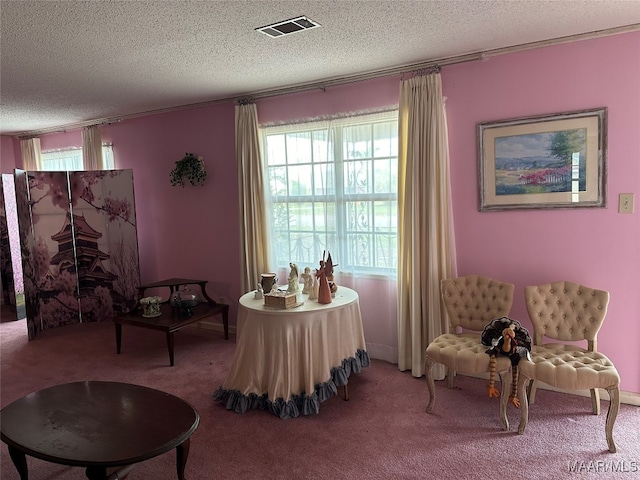 sitting room featuring carpet flooring and a textured ceiling