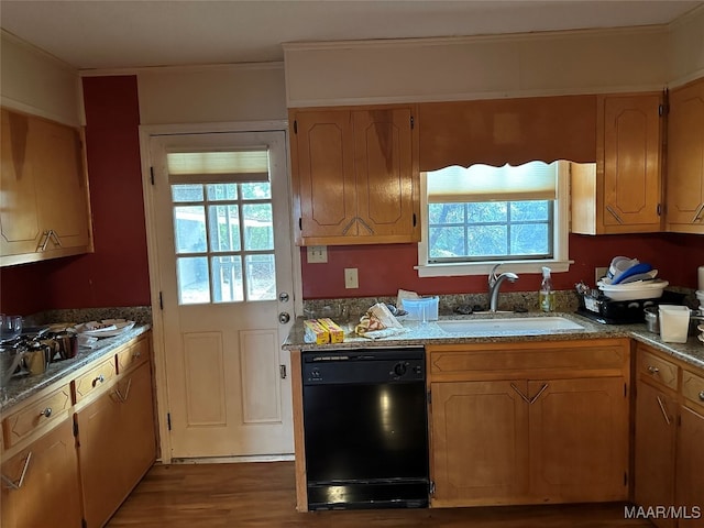 kitchen with dark hardwood / wood-style flooring, crown molding, dishwasher, and sink