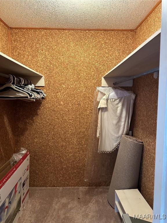 225 Merrimac Dr, Selma, AL 36701 - spacious closet featuring carpet floors