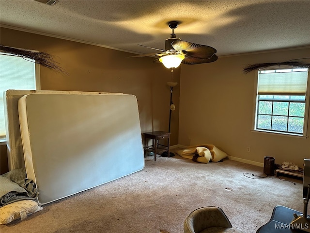 interior space with carpet flooring, ceiling fan, and a textured ceiling