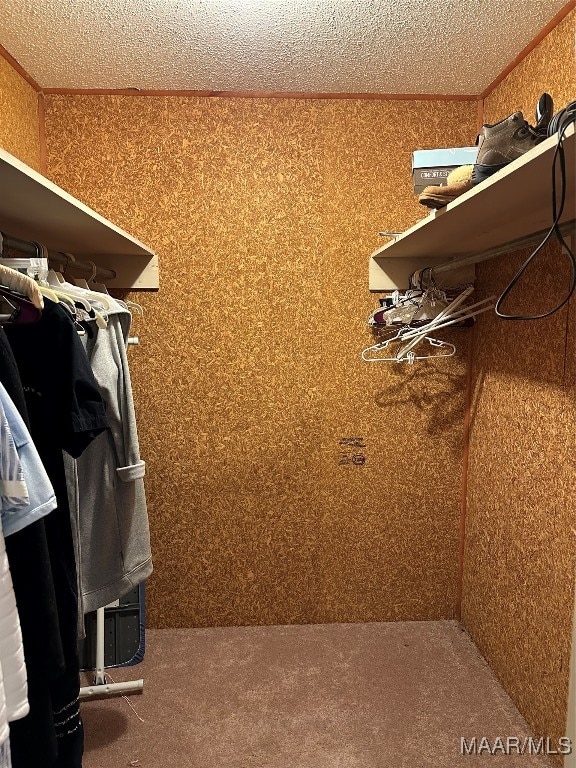 spacious closet featuring carpet flooring