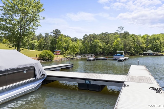 dock area featuring a water view