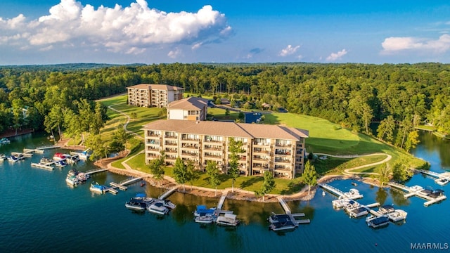 bird's eye view with a water view