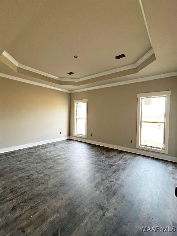 empty room with ornamental molding and a tray ceiling