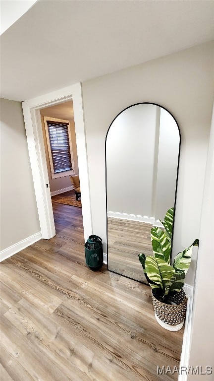 hall featuring wood-type flooring