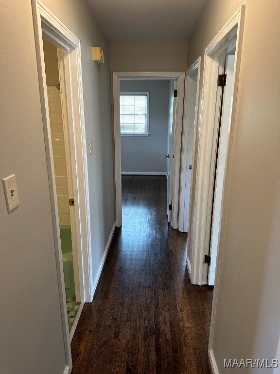 corridor with dark hardwood / wood-style flooring