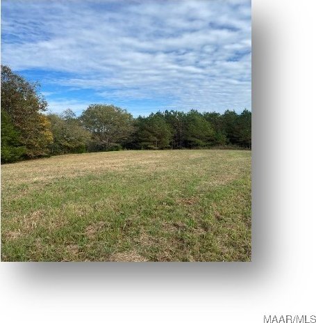 0 County Road 9th Rd, Fitzpatrick, AL 36029 - photo 3
