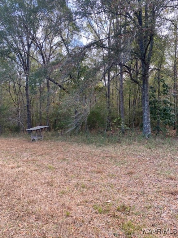 0 County Road 9th Rd, Fitzpatrick, AL 36029 - photo 4