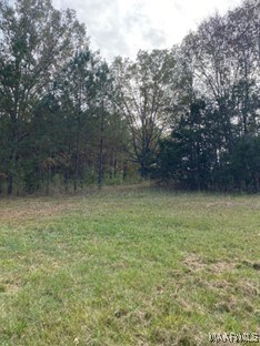 0.0 County Road 9th Rd, Fitzpatrick, AL 36029