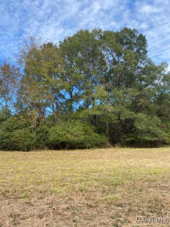 0.0 County Road 9th Rd, Fitzpatrick, AL 36029