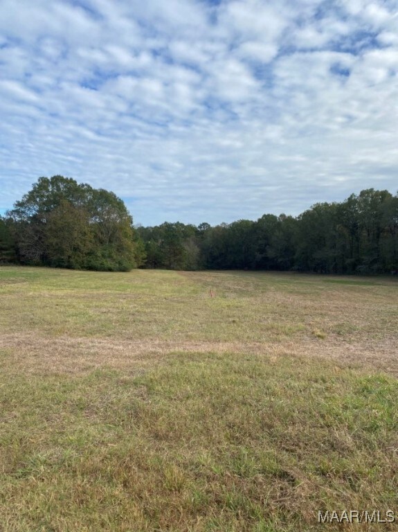 0.0 County Road 9th Rd, Fitzpatrick, AL 36029