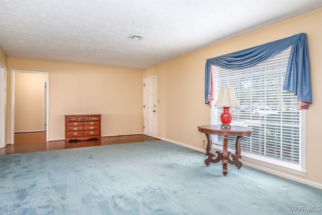 interior space with carpet floors and a textured ceiling