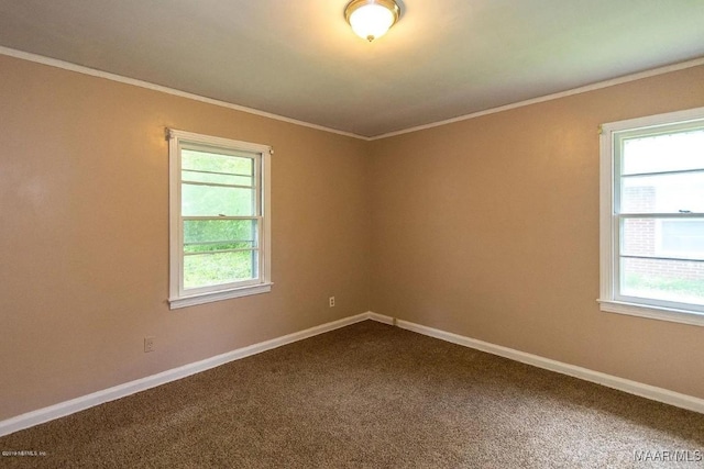 carpeted spare room featuring crown molding and plenty of natural light