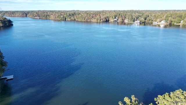 983 Lake Haven Dr, Deatsville, AL 36022 - water view featuring a forest