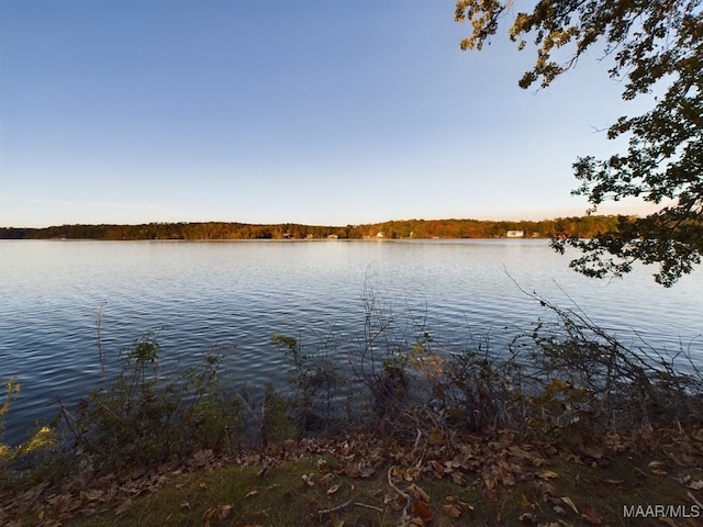 983 Lake Haven Dr, Deatsville, AL 36022 - water view