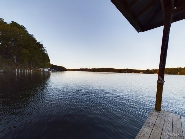 983 Lake Haven Dr, Deatsville, AL 36022 - dock featuring a water view